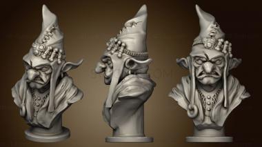 3D model Goblin Wizard Bust (STL)