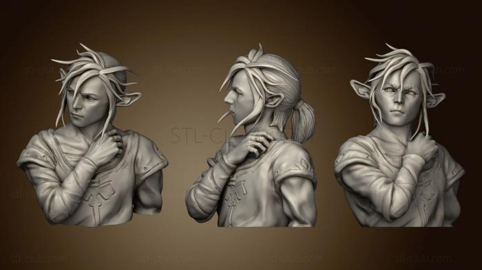 link bust