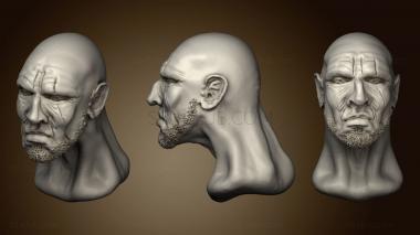 3D model Male Head 5 2 (STL)