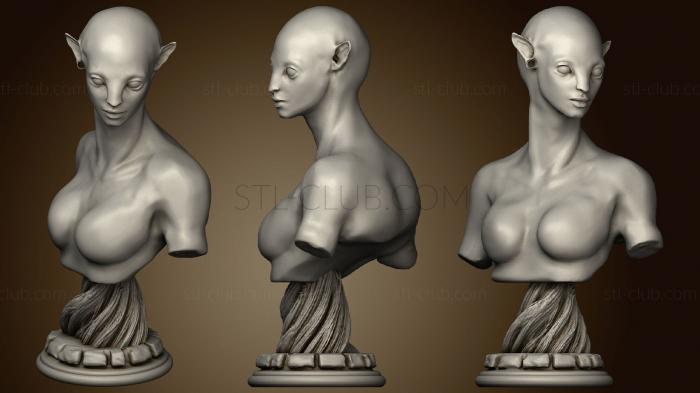 3D model Neytiri Avatar Bust (STL)