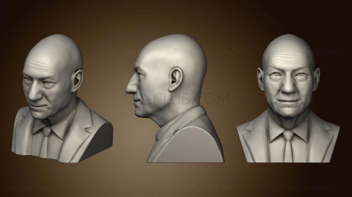 3D модель Бюст профессора Икс (STL)