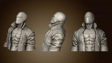 3D model Red Hood Bust (STL)