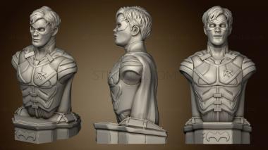 3D model Robin Bust (STL)