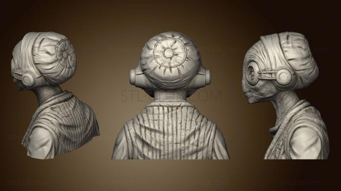 3D model Star Wars   Maz Bust Decimated (STL)