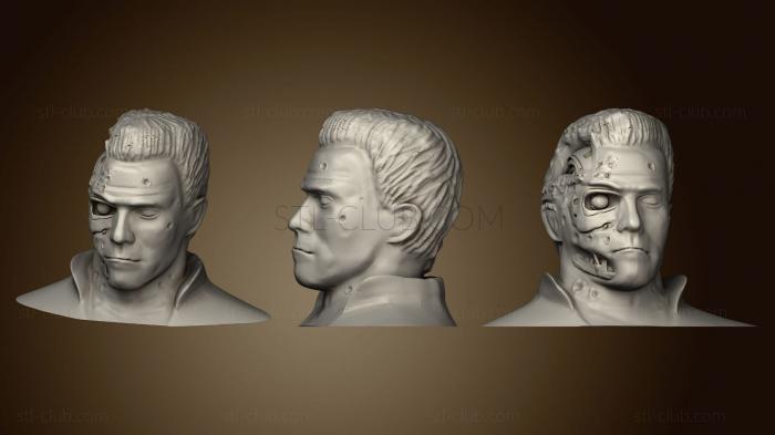 T 800 Damage Bust (28 MB) (2)