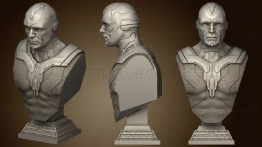 3D model Vision Bust (STL)