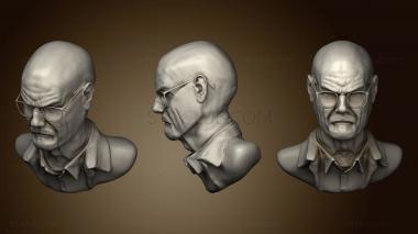 3D model Walter White 2 (STL)