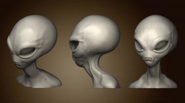 3D model Alien Bust Head (STL)