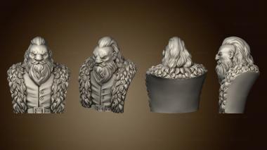 3D model The Darkest Hour Throwback s Dwarf adventurer bust (STL)