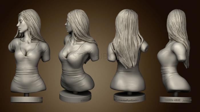 3D model Torrida Minis 3 (STL)