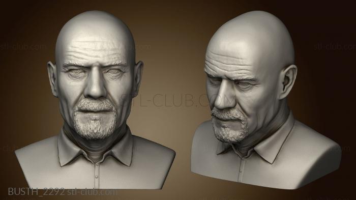 3D model Breaking Bad Walter White (STL)