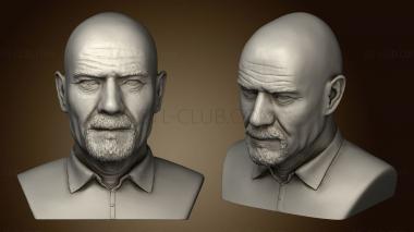 3D model Breaking Bad Walter White (STL)