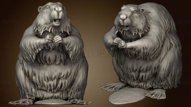 3D model Animal American Beaver (STL)