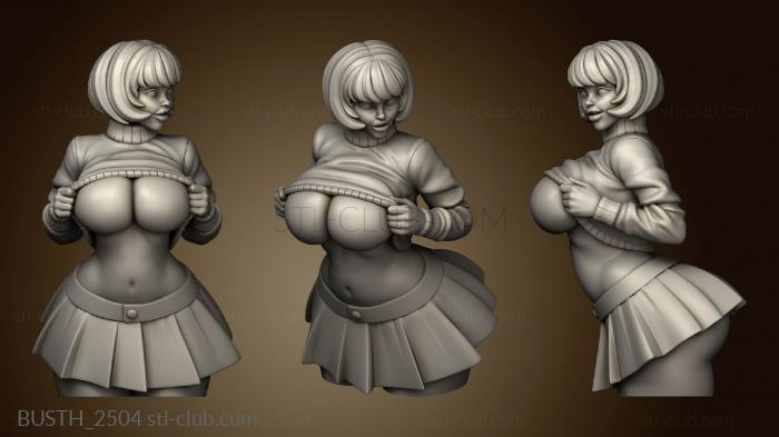 3D модель Обладательница Бюста Velma (STL)