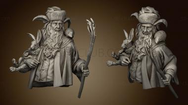 3D model Radagast The forester (STL)