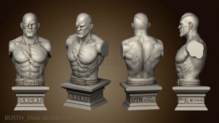 3D model street fighter sagat (STL)