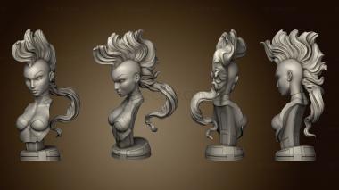 3D model Campbells Storm Bust (STL)