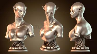 3D мадэль Декоративный бюст аватара (STL)