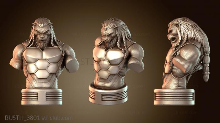 Бюсты монстры и герои BUSTH_3801