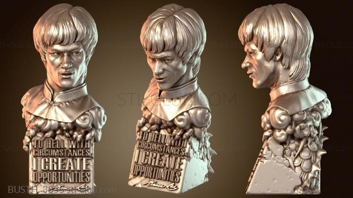 Бюсты монстры и герои BUSTH_3855