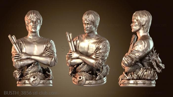 Бюсты монстры и герои BUSTH_3856