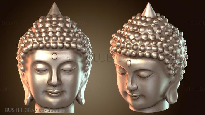 Бюсты монстры и герои BUSTH_3857