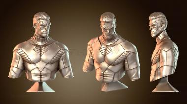 3D мадэль Бюст от Eastman Nightwing (STL)