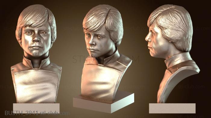 Бюсты монстры и герои BUSTH_3941