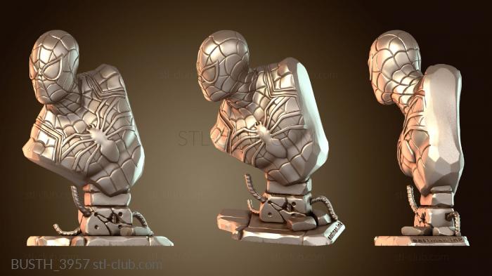 Бюсты монстры и герои BUSTH_3957