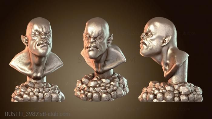Бюсты монстры и герои BUSTH_3987