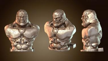 3D мадэль Темная сторона (STL)