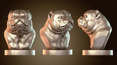 3D модель Экзотический бусто (STL)