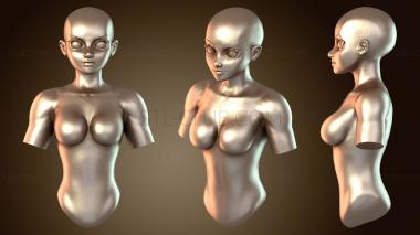 3D model Female toon bust (STL)