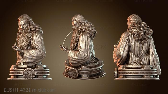 Бюсты монстры и герои Бюст Гэндальфа