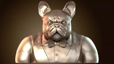 3D мадэль Джентльмен, французский бульдог, половина (STL)