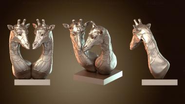 3D мадэль Двойной бюст жирафа (STL)