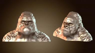 3D мадэль Бюст гориллы (STL)