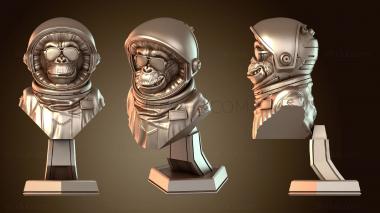 3D модель Галактический межгалактический обезьяний экипаж (STL)