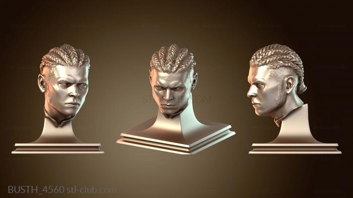 Бюсты монстры и герои Ivar the Bone