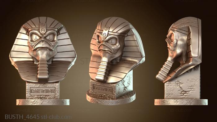 Бюсты монстры и герои BUSTH_4645