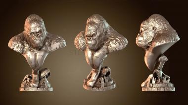 3D мадэль Бюст Кинг-Конга (STL)