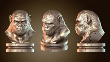 3D мадэль Коба Обезьяна (STL)