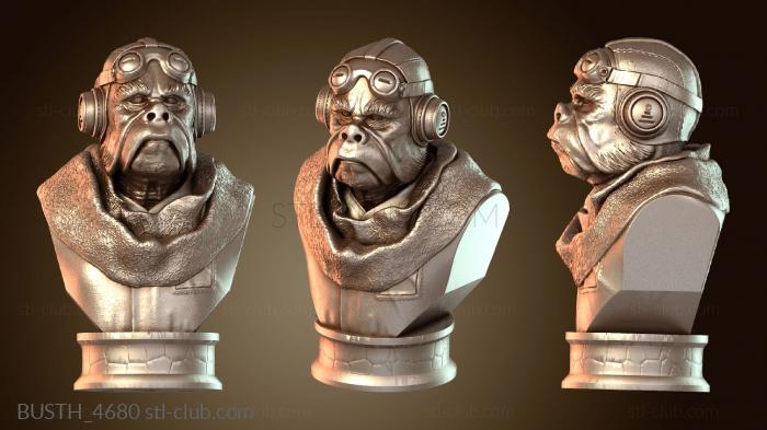 Бюсты монстры и герои BUSTH_4680