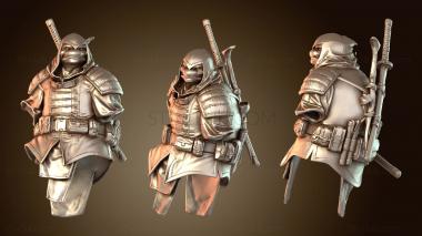 3D model Shadow LAST RONIN (STL)