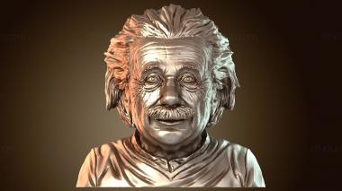 3D модель Бюст Альберта Эйнштейна LS (STL)