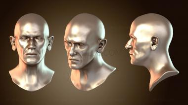 3D мадэль Мужской (STL)