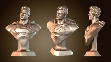 3D model Masculine man bust (STL)