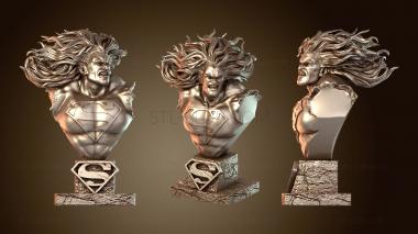 3D model Armored Metal man (STL)