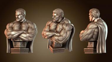 3D мадэль Плащ omni BUST (STL)