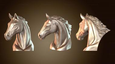 3D мадэль ПАЙП КОКС Дикая и прирученная лошадь (STL)